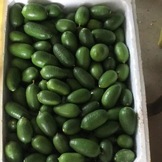 文昌市香水柠檬 海南香水柠檬
