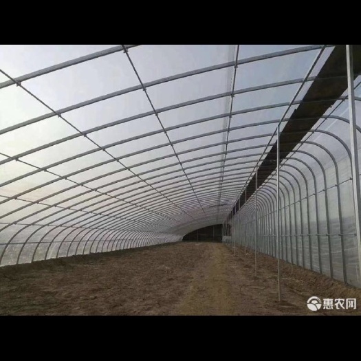 怀远县养殖大棚 冬暖夏凉，抗腐蚀，抗风雪
