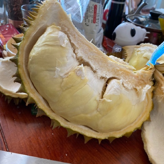 广州 树熟金枕巴掌榴莲