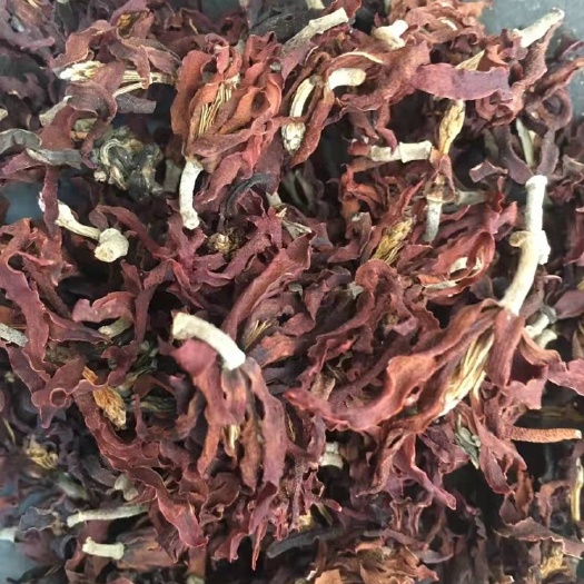 玉林玉兰花茶  、两斤起发货、支持线上交易、量大从优