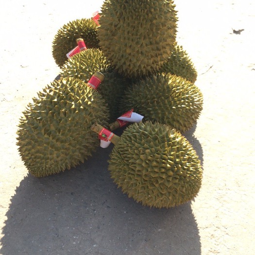 昆明托曼尼榴莲  泰国托曼尼上货啦