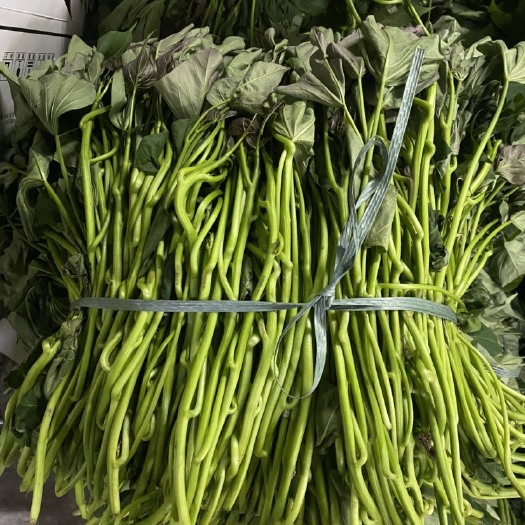 湛江大量精品靓货西瓜红红薯苗出售