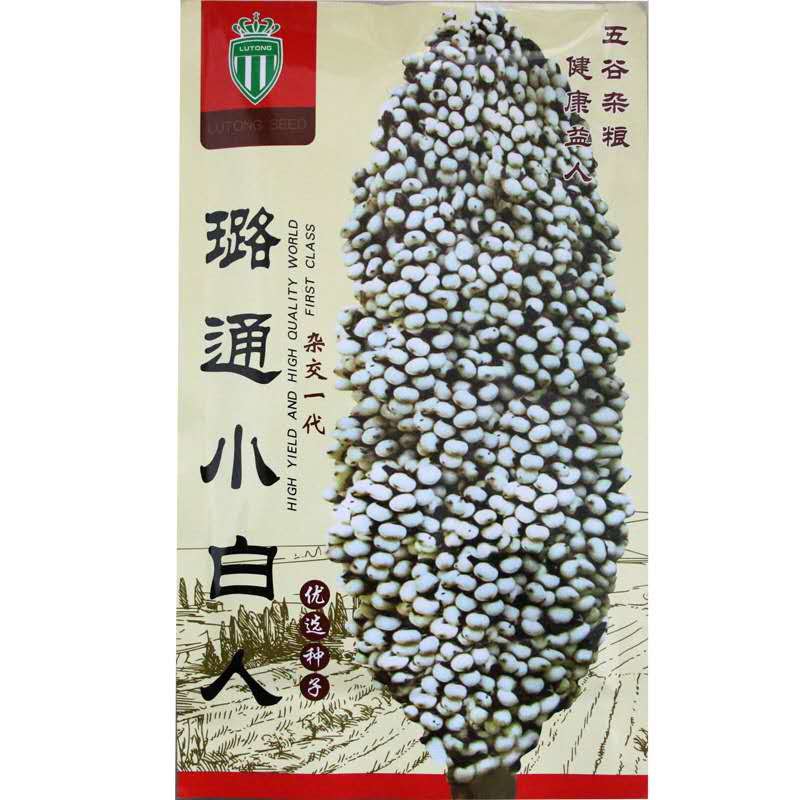 邯郸小白人高粱种子 酿酒食用五谷杂粮净含量150-500克