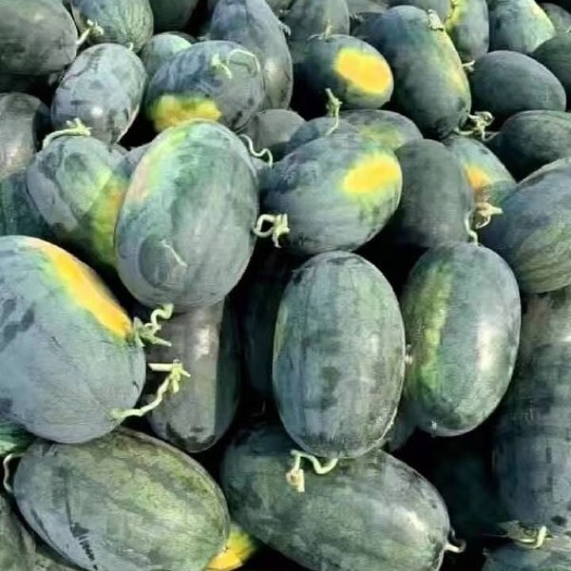 南宁黑美人西瓜，个头饱满，甜度好，13个糖