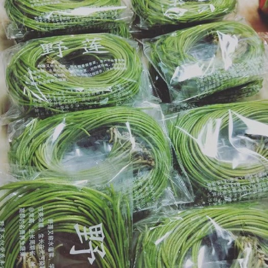 新鲜野莲水莲菜龙骨瓣莕菜200g/包