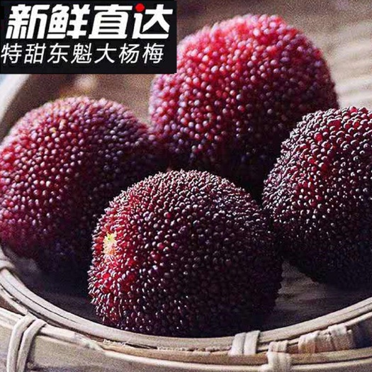 漳浦县东魁杨梅 杨梅