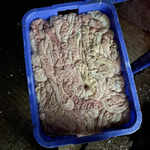 猪肠 干水大肠 预煮大肠 去油大肠 深圳周边送货上门