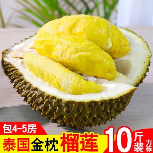 广州泰国金枕榴莲