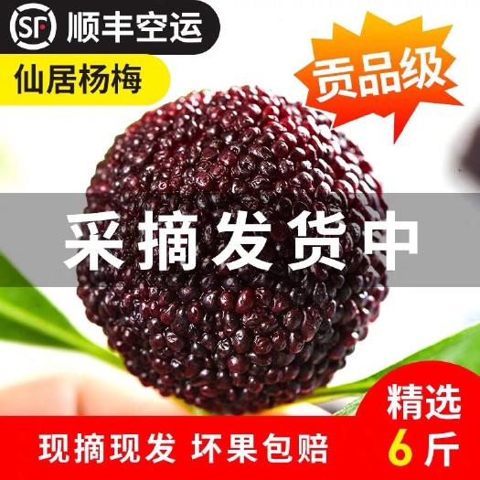 仙居县浙江仙居东魁荸荠杨梅新鲜水果现摘现发