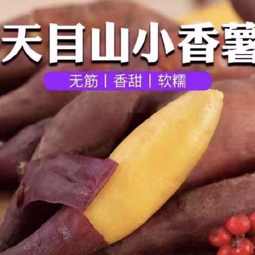 杭州天目山小香薯地瓜红薯5斤新鲜农家番薯粗粮粉糯香甜