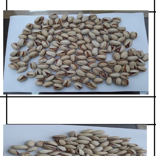 杭州开心果 品质优良