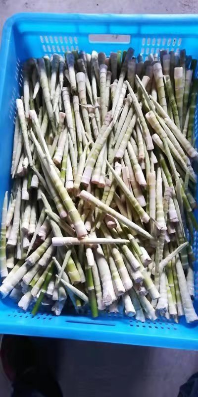 德清县野笋干便宜卖咯