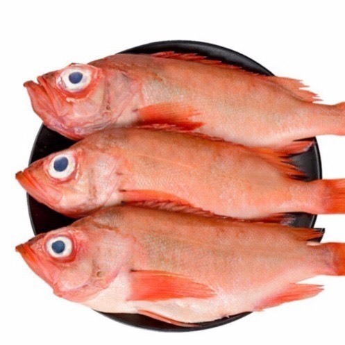 连云港红石斑鱼鲜冻整条大龙鱼胆富贵鱼、长寿鱼深海鲜鲜冻海鲜