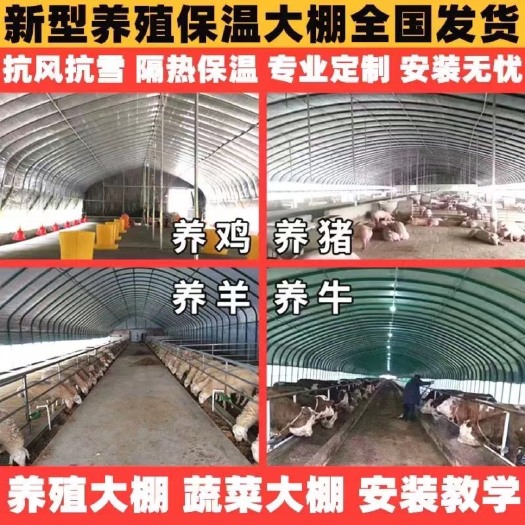 天津 大棚建设工程规划改造