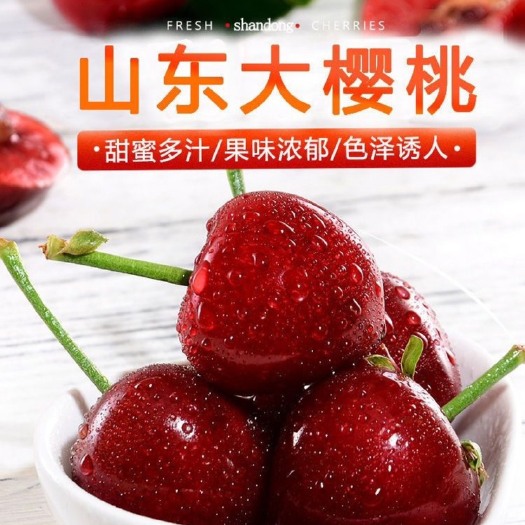 临朐县美早樱桃 山东大棚樱桃 美早先锋