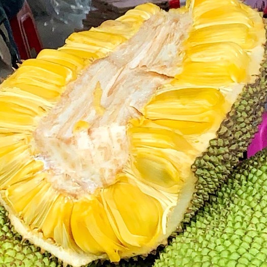 海口菠萝蜜黄肉  海南三亚黄肉菠萝蜜新鲜当季水果菠萝蜜一整箱整个包邮！