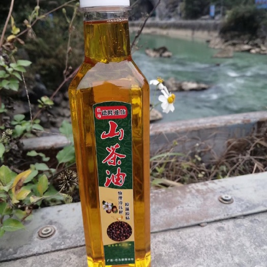 巴马县山茶油农家自榨广西巴马长寿之乡农村传统压榨山茶油