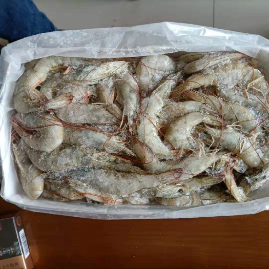 南宁白虾  虾