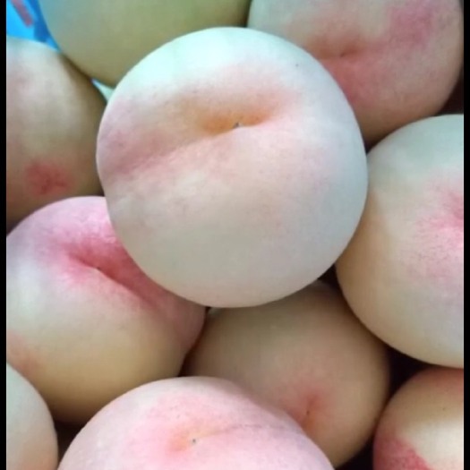 衡阳县水蜜桃