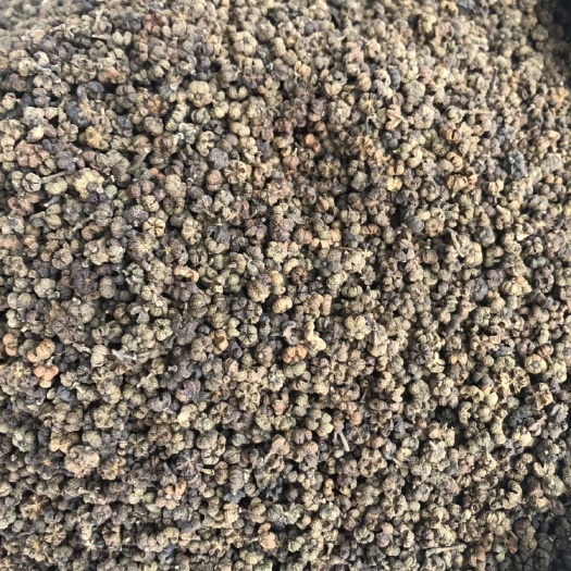 玉林 吴茱萸   茶辣     柒辣子