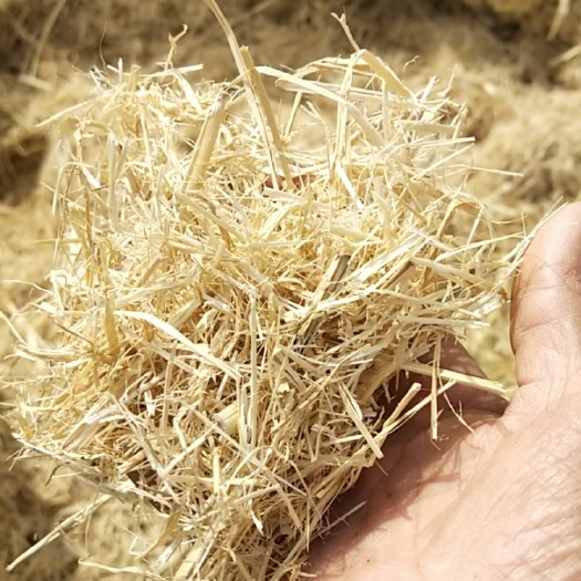天津稻草本人是天津市宁河区的生产厂家，天津市宁河区柏然秸秆加工厂