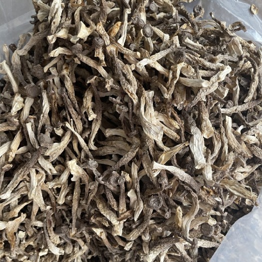 昆明鹿茸菇，粗条，欢迎合作，量大价优