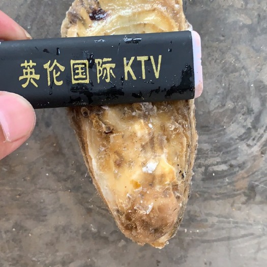 乳山市净化蚝 山东省威海市乳山市 鲜活水产 