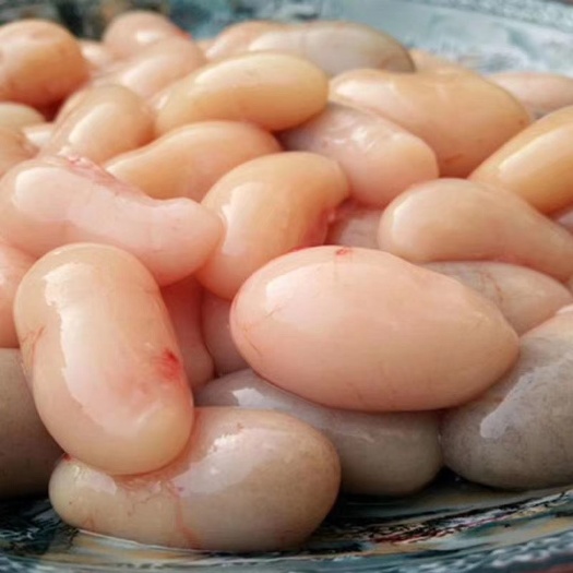 广州鸡肉类  鸡籽鲜冻鸡腰子