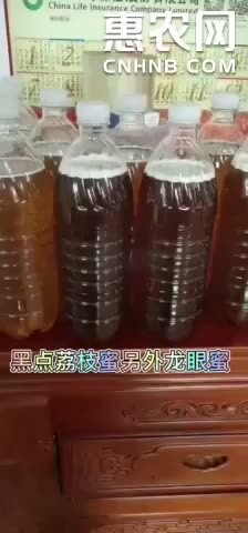 漳浦县荔枝花采的土蜂蜜