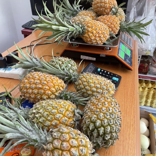 蒙自市香水菠萝  云南蒙自菠萝