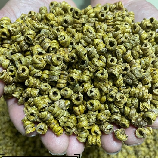 霍山铁皮石斛自产自销，50克，100克装，自己吃有检测报告，