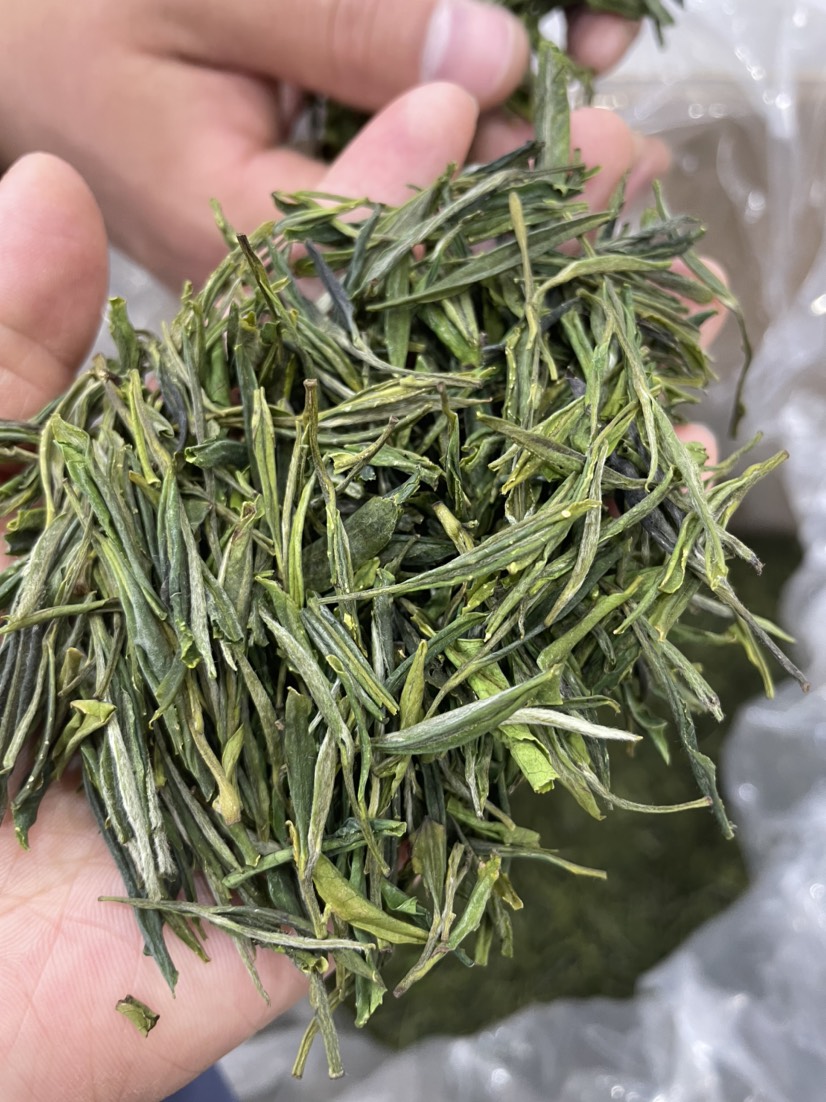 黄芽茶  霍山黄芽自产自销，各种规格茶都有，可以装礼盒，口粮茶1斤