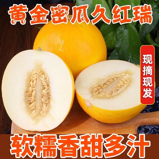 寿光市久红瑞甜瓜   山东寿光  自产自销  产地直供