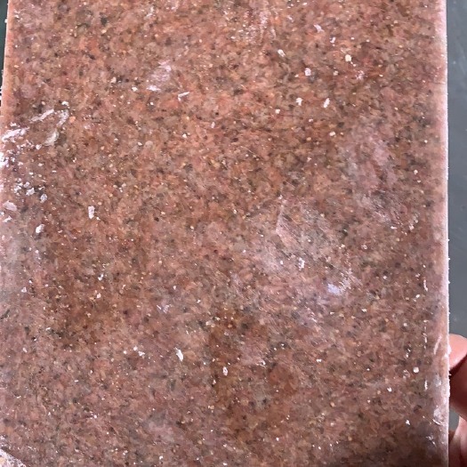 天津 精品丰年虫（大卤虫）鱼虾蟹黄金生物饵料