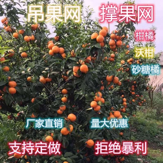 无棣县厂家直销吊果网柑橘撑果网沃柑砂糖橘吊果果蔬爬藤网攀爬网