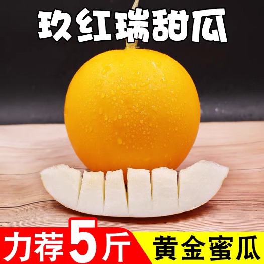 寿光市久红瑞甜瓜  山东寿光  自产自销   产地直供