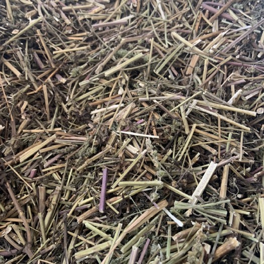广州荆芥中药材 无硫新货大货供应批发零售价格实惠