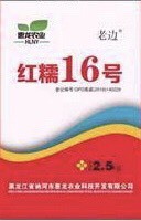 绛县红糯13高粱种子  红糯16号高粱种子