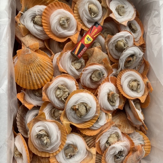 成都黄金粉丝扇贝（200个/件）