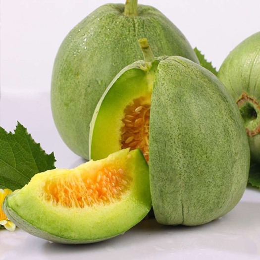 大荔县甜瓜 香瓜