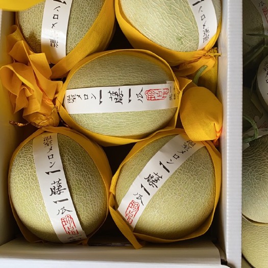 莘县 长年供应甜瓜 网纹、久红瑞、东方蜜、博洋蜜瓜、羊角蜜等一系列