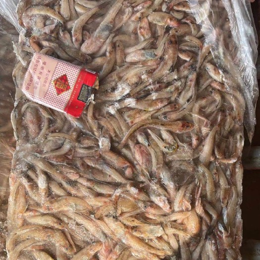 凌海市饲料鱼  速冻小鱼