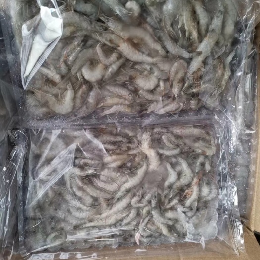 成都青虾 小何虾