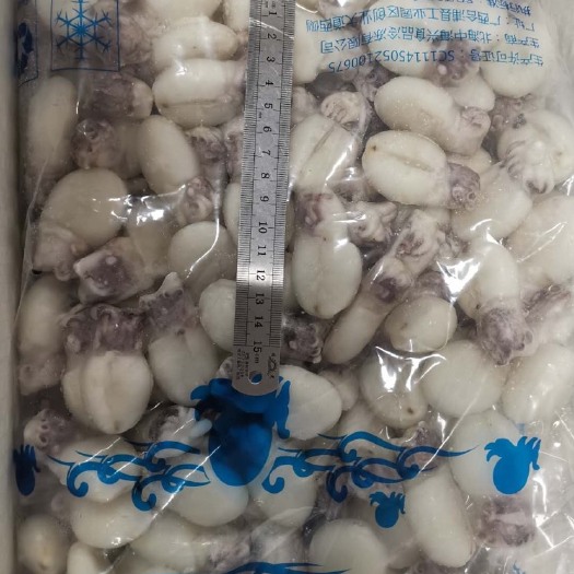 成都干冰墨鱼仔