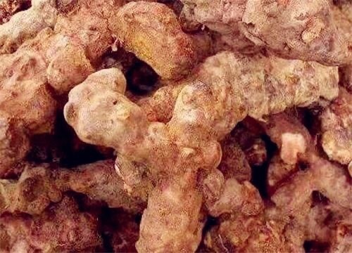 灵川县 有没有老板需要土茯苓，
