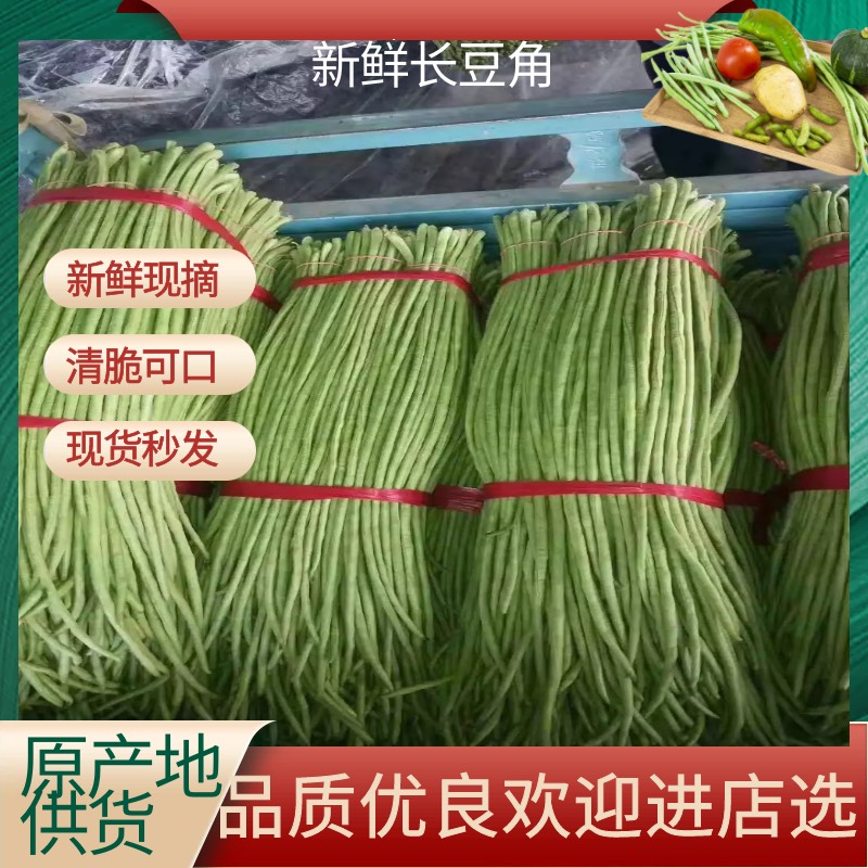 芜湖长豇豆  安徽鲜长豆角大量上市 农家自种 当季现摘时令蔬菜