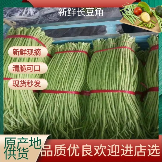 芜湖长豇豆  安徽鲜长豆角大量上市 农家自种 当季现摘时令蔬菜
