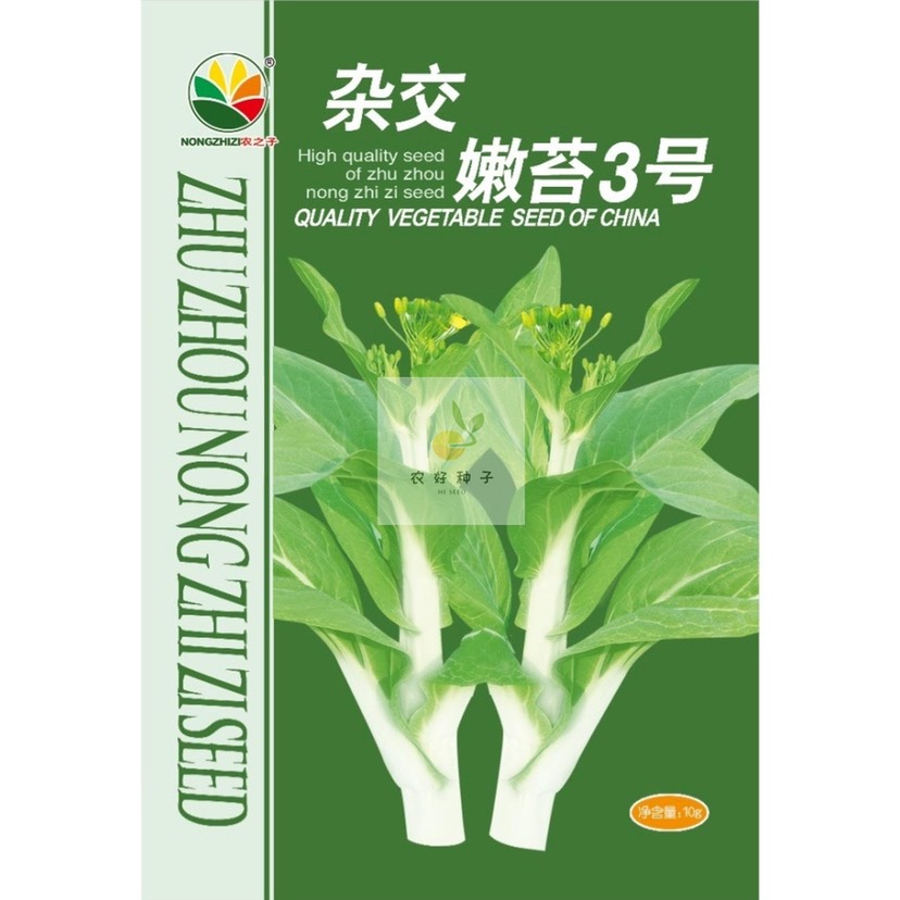 株洲杂交白菜苔种子 嫩苔3号种子--早熟,苔粗