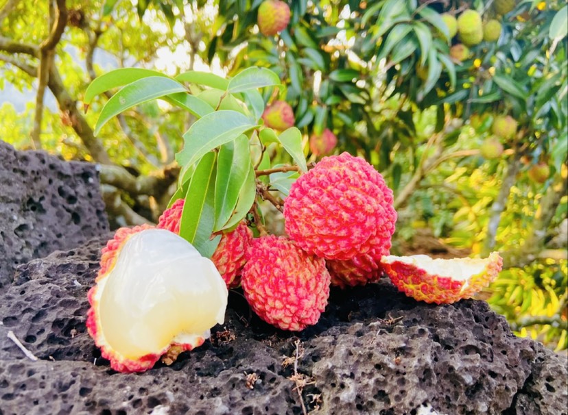  需要好点的荔枝
