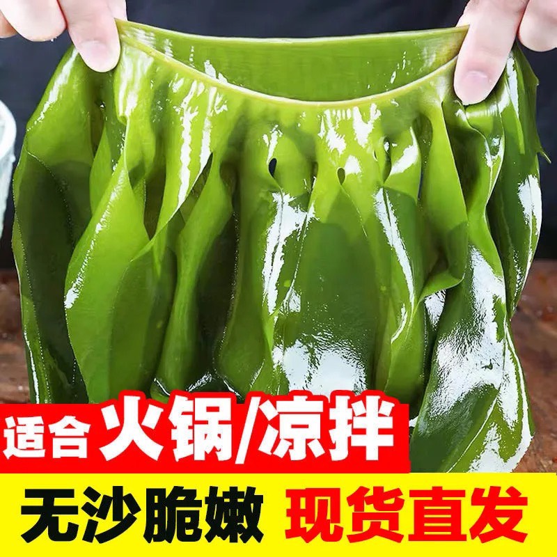 【出口级】盐渍裙带菜海白菜海藻海带凉拌菜麻辣烫火锅食材批发